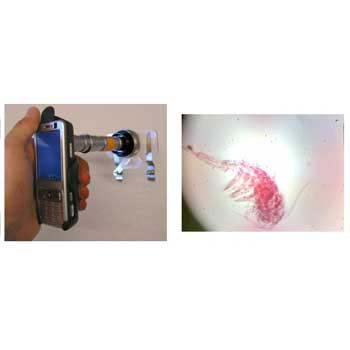 mobiln 253 mikroskop mobily a komunik 225 cia s world sk microskop word
