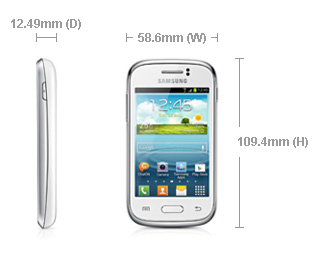 Galaxy Young S6310